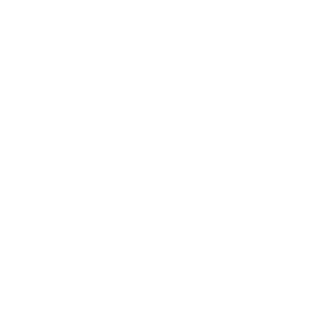 birzu logo