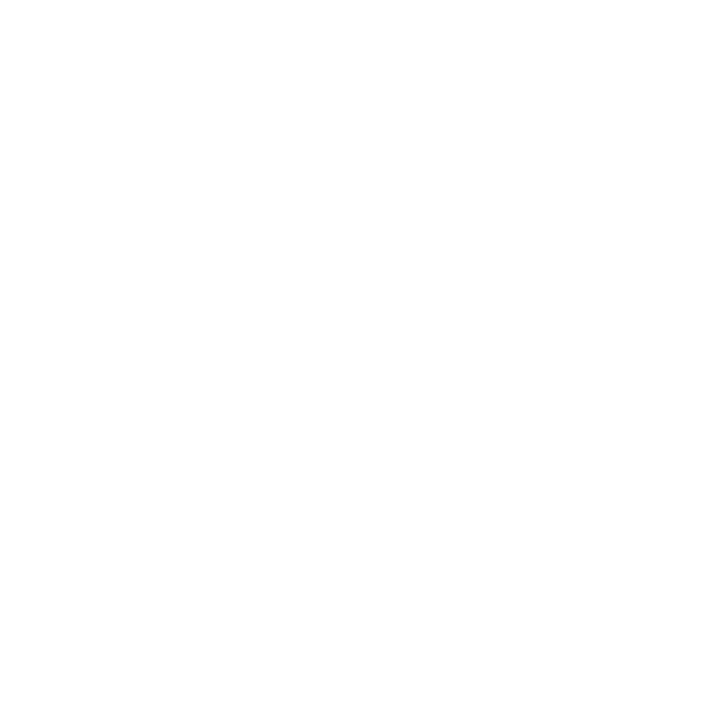 sirvintu logo